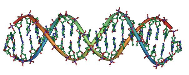 DNA_Overview.png