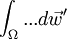\int_\Omega ... d\vec w'
