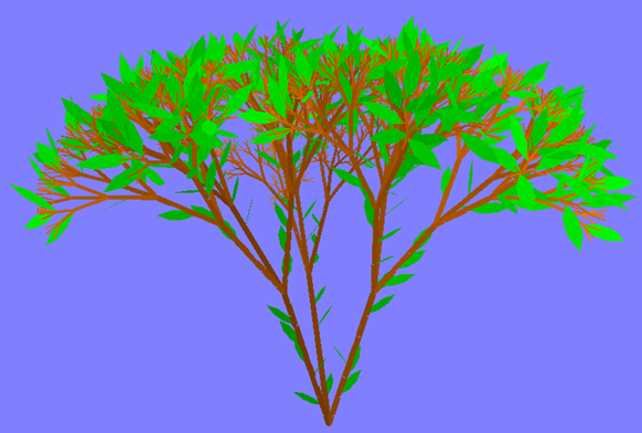Bush1
