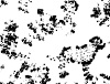 11_MT