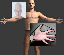 16_KozaKosturPokret