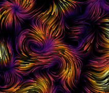 19_Projekt