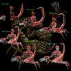 Arachnoid