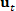 u_t
